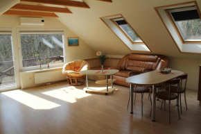 Cozy apartment with balcony